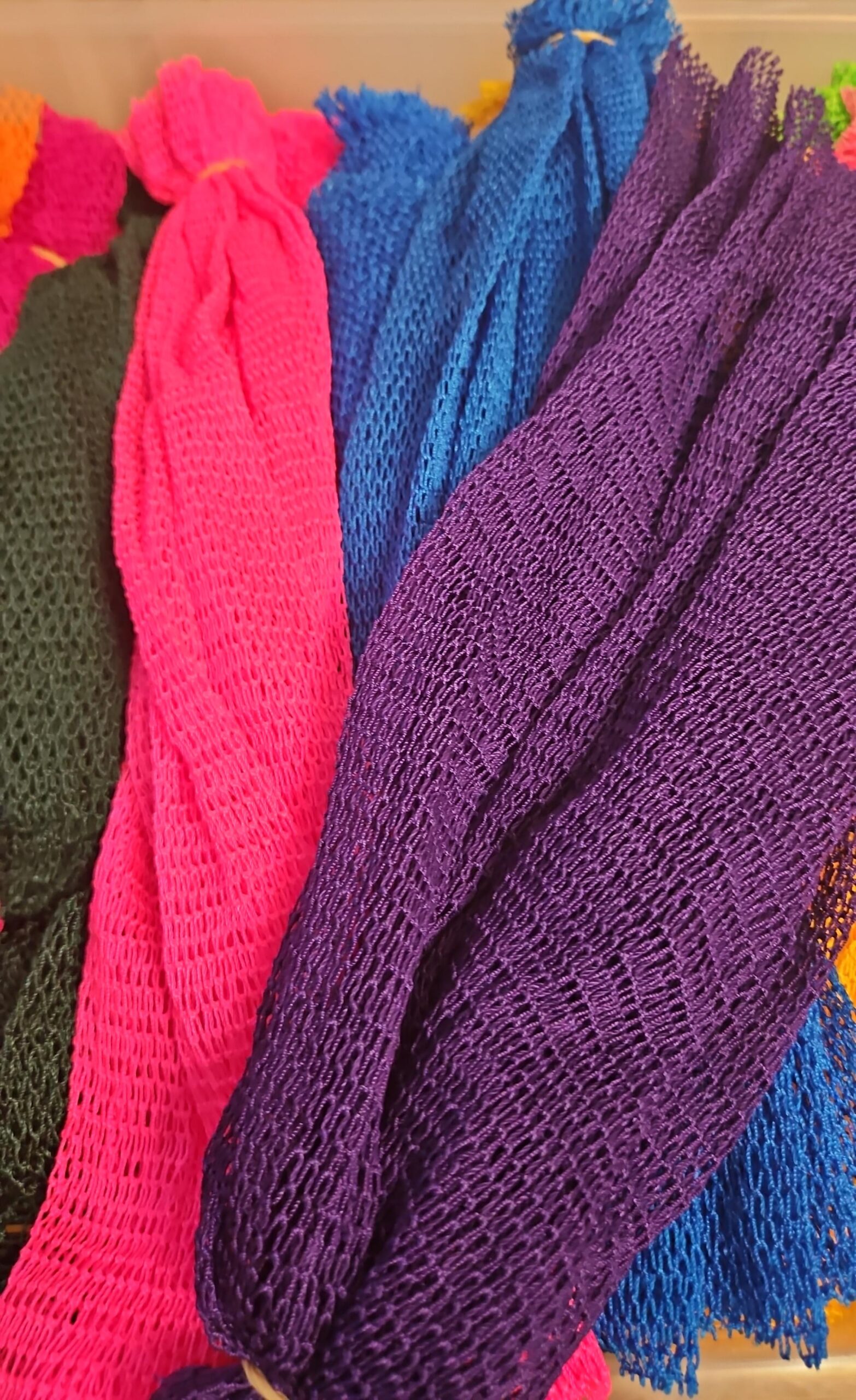 West African Net Sponge — BERC Fundraiser